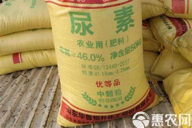 现在尿素批发价多少钱一吨？9月份尿素价格会不会涨？