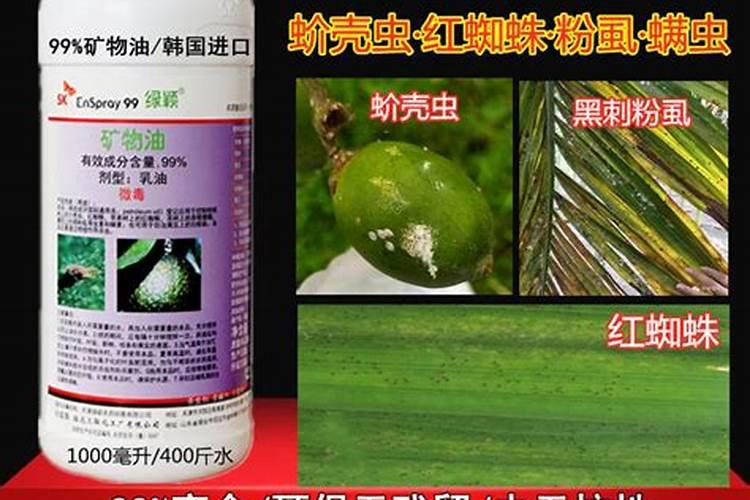 槟榔微生物菌剂是什么成分做的？