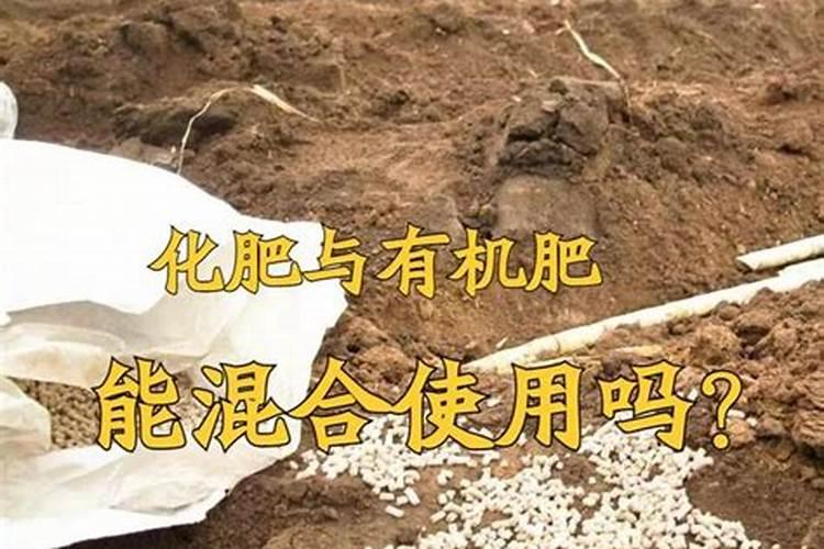 微生物肥料与化肥的关系是什么2025？