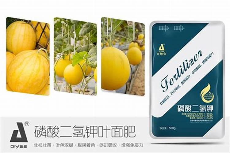 昆明红糖做叶面肥比例多少？