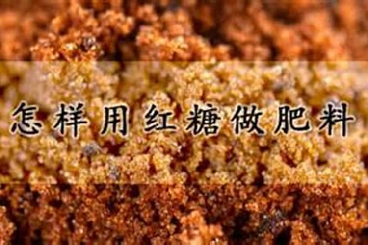 怎样用红糖做肥料