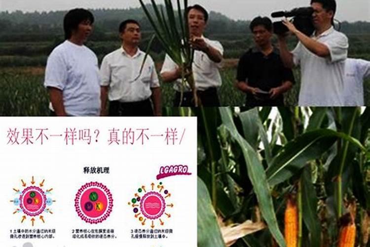 长效缓控释肥批发电话