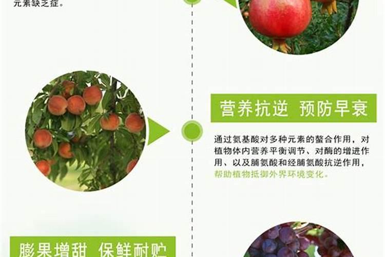 茉莉花微生物肥料的作用