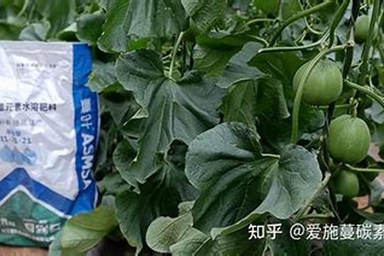 金华水溶肥和复合肥哪个效果更好？