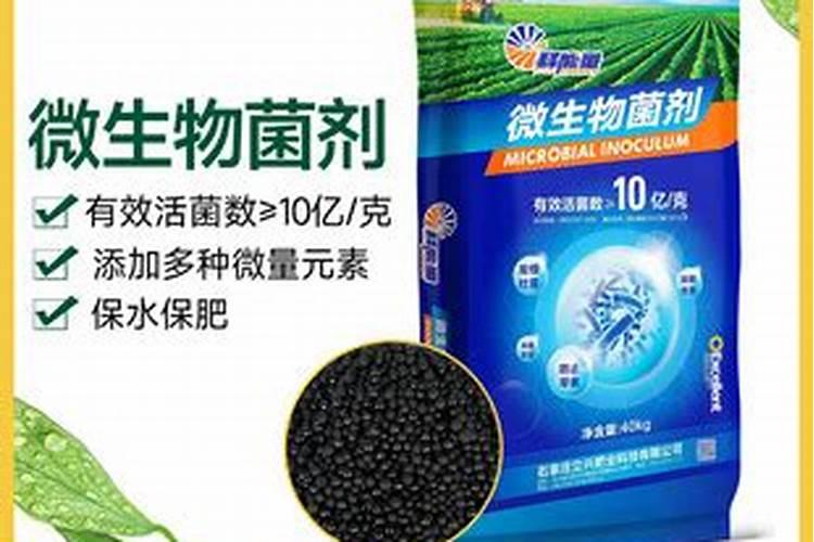 钙肥微生物菌肥颗粒底肥的用量