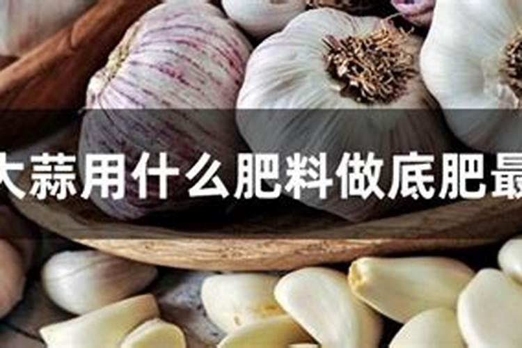 大蒜底肥用什么肥料最好