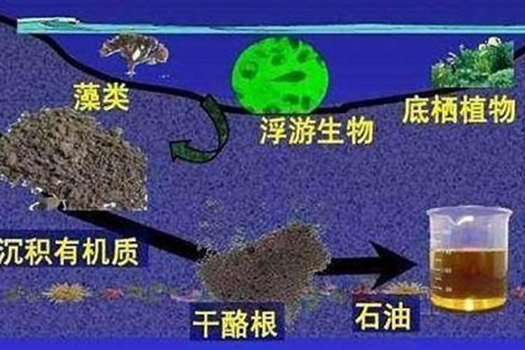 石油是古生物遗体形成的吗？它的由来是什么？