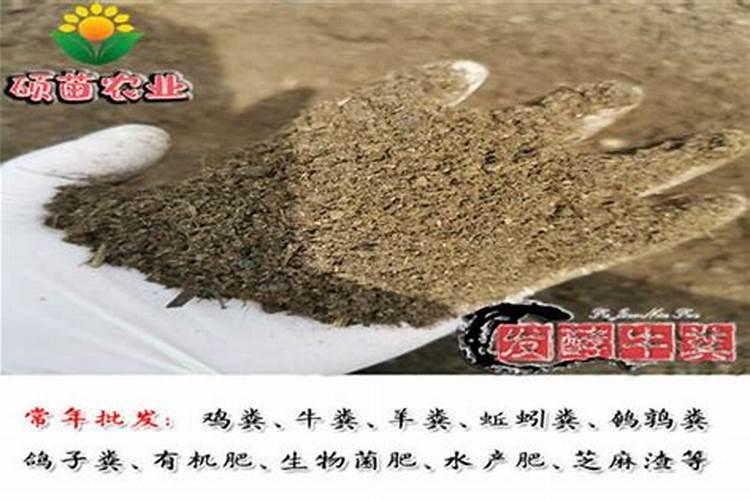生物有机肥现在多少钱一吨
