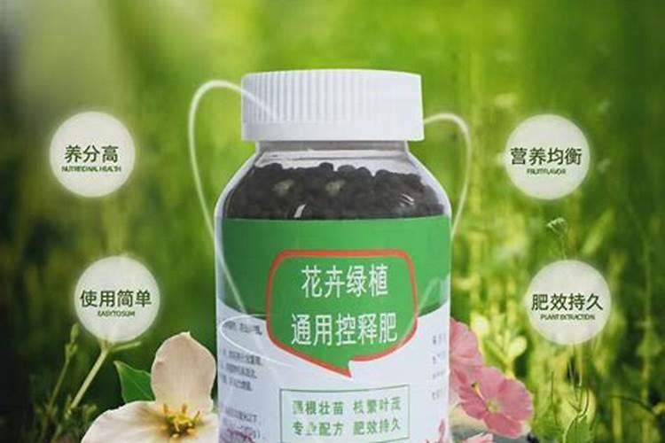 仪征大棚多肉控释肥遇水就化了是假的？