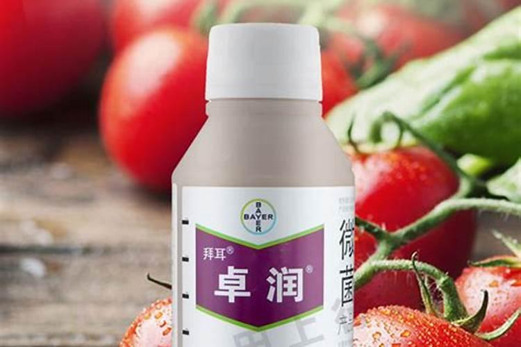 微生物菌剂卓润是生根剂吗？