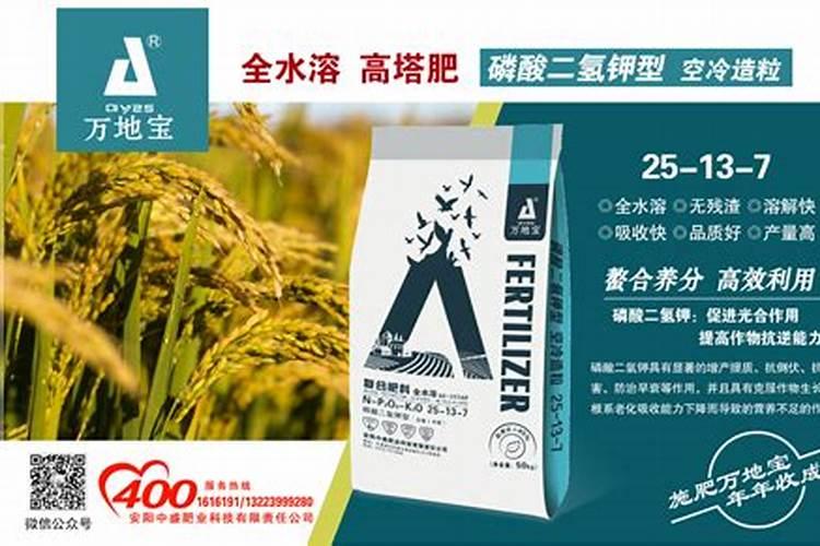 脐橙多肉缓释肥和复合肥的区别在哪里甘肃2025？