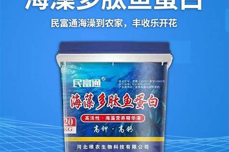 敦化海藻鱼蛋白肥料的区别？