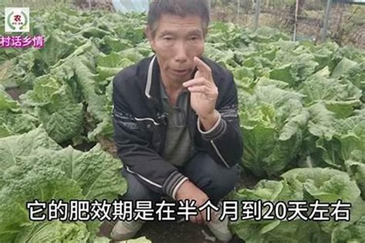 生物有机肥肥效期多长时间最好？