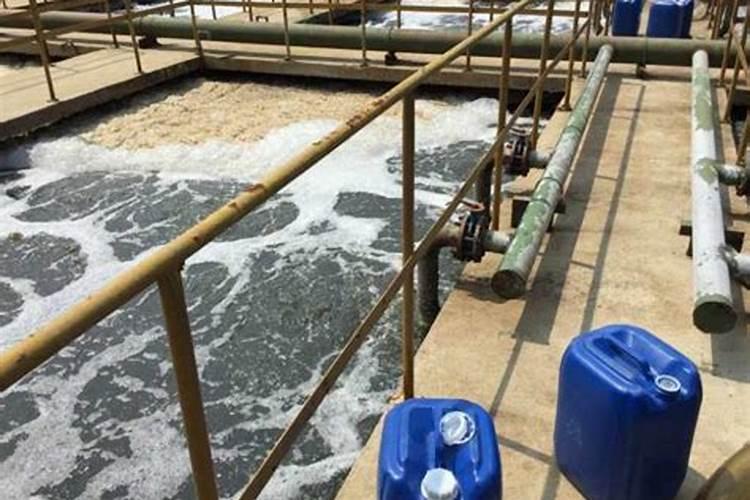 仙桃微生物菌剂石油修复