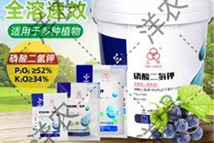 武冈水溶肥料厂家批发高钾