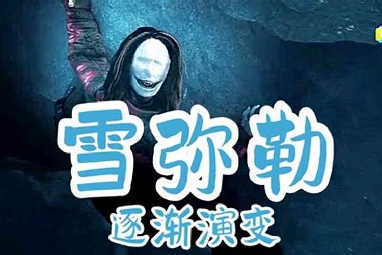 雪弥勒简介