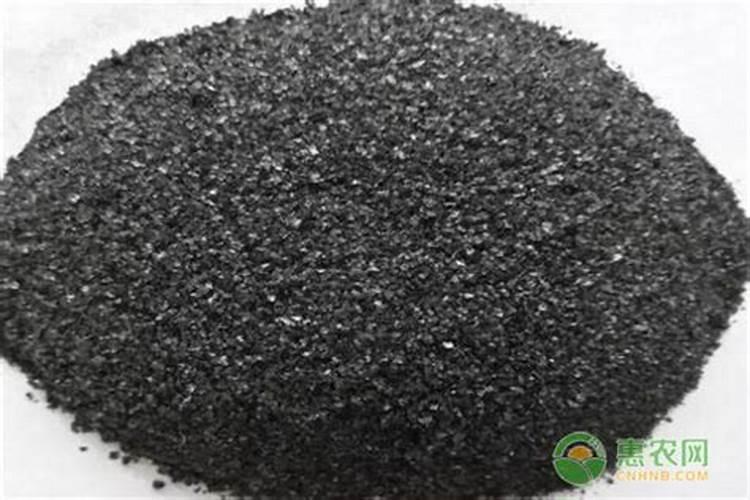 文山生物肥料类型有哪几种佛手？
