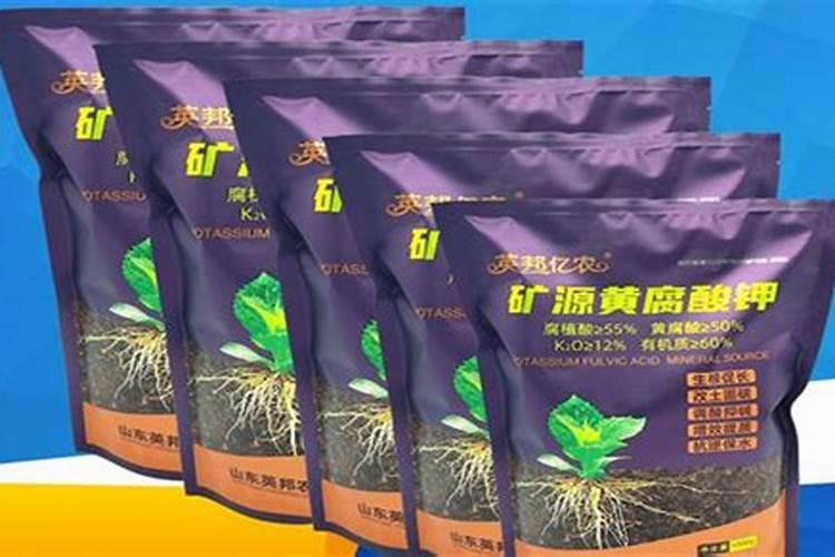 2025水溶肥有哪些作用？