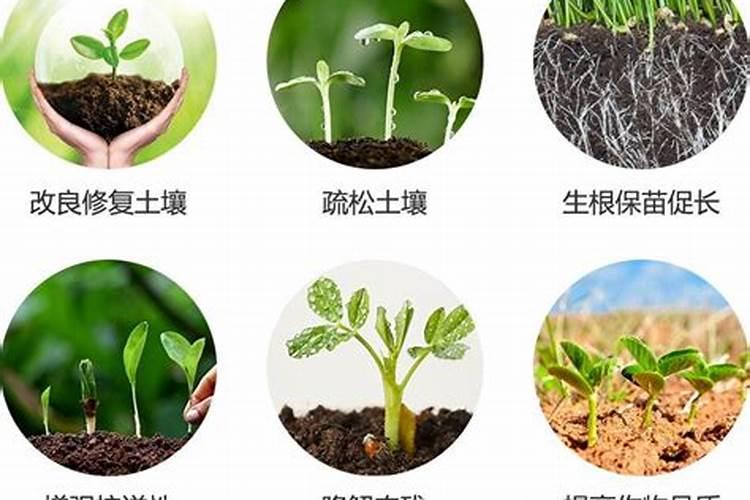 水溶肥的三大害处有哪些方面？