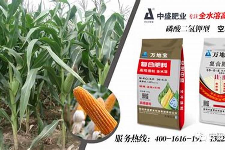 2025玉米复合肥厂家直销