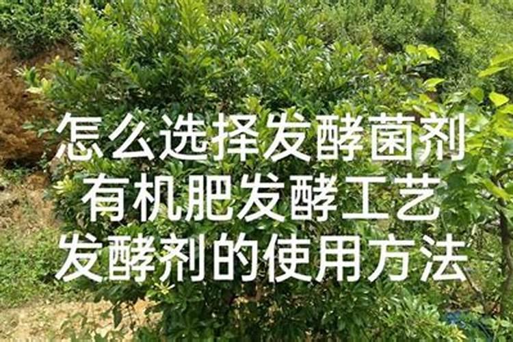 有机肥发酵剂使用方法