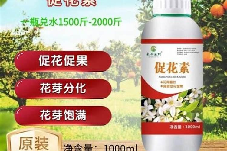 2025氮磷肥是什么肥料？