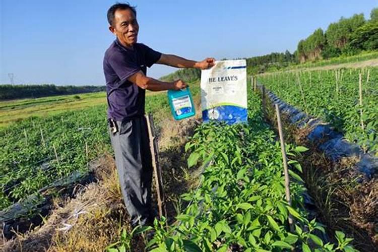 呼伦贝尔2025水溶肥效果如何？