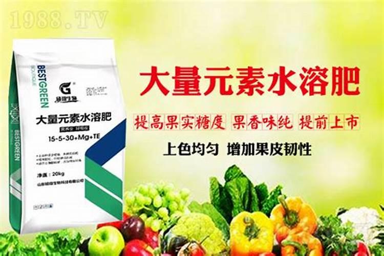 高钾水溶肥的功效与作用