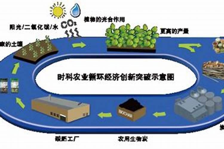 绥芬河微生物肥料属于什么行业？
