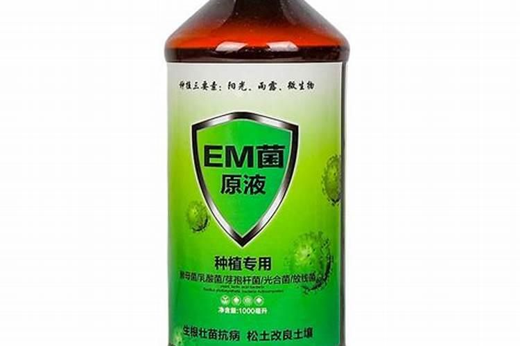 EM生物菌剂如何自行培育