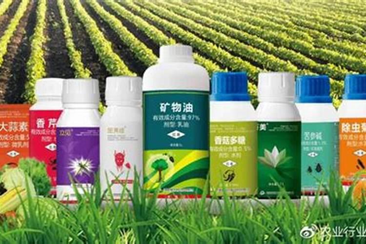 栀子微生物菌剂是什么农药英德？