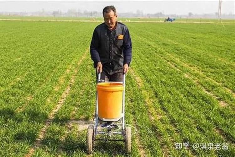 有机化肥和无机化肥有什么区别？