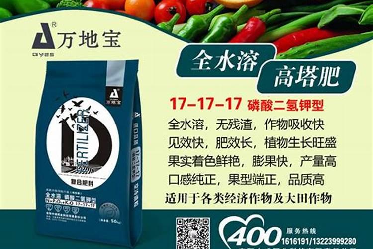 颗粒水溶肥料代加工厂家四季豆