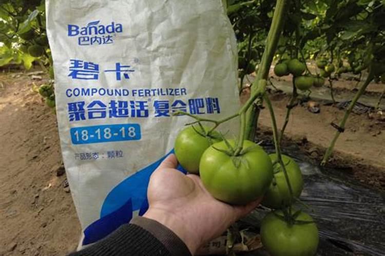 颗粒水溶肥的特点有哪些方面？