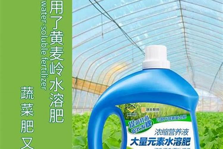 全国十大水溶肥厂家都有谁家？