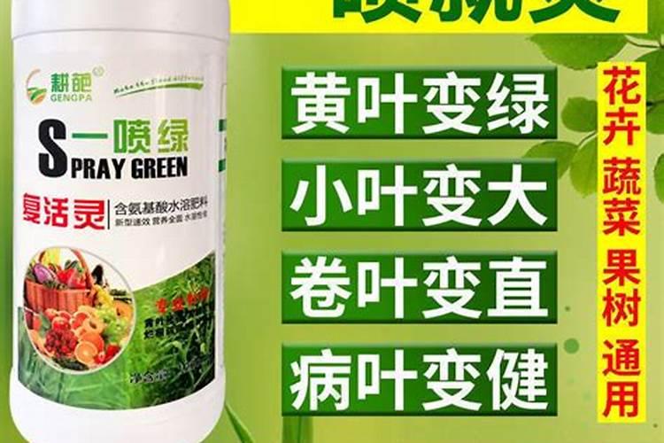 水溶肥料能喷叶面吗？