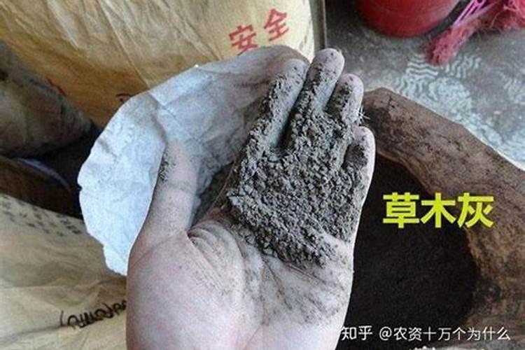 草木灰有什么作用