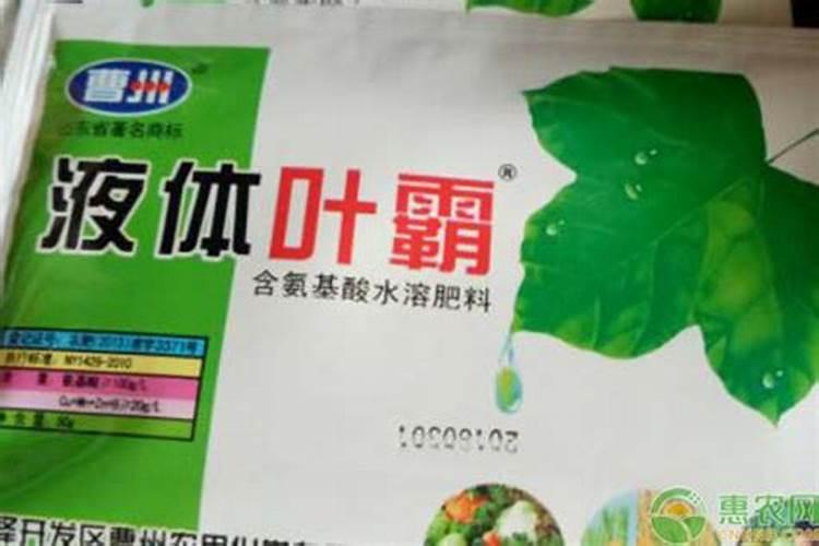 2025叶面肥的作用与功效清远