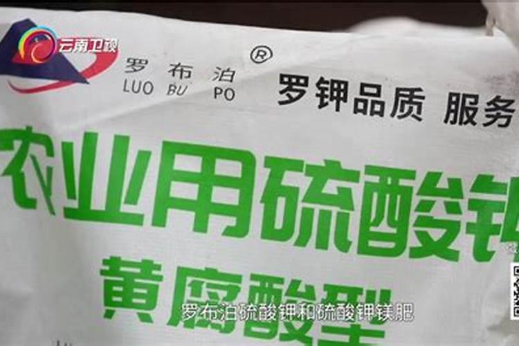 2025罗布泊化肥生产基地