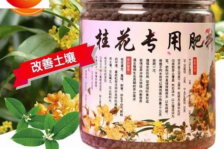 2025桂花树复合肥料真假识别