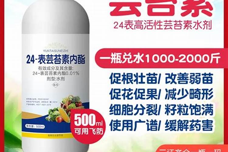 芸苔素和叶面肥在一起打起什么作用？