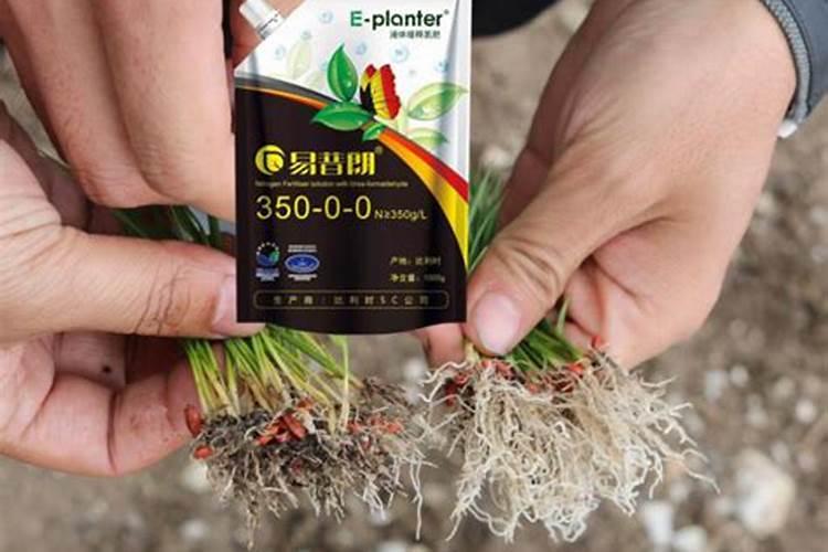 缓释肥的使用方法？