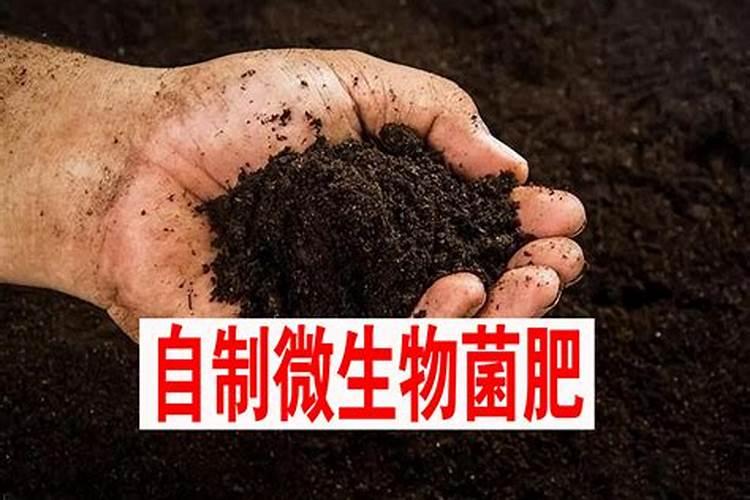 生物菌肥的制作配方,作用和功效是什么
