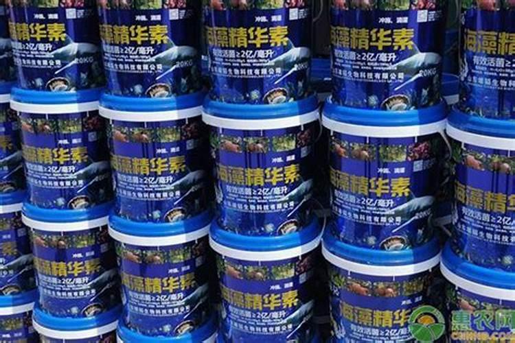 果树水溶肥批发价格多少烟台？
