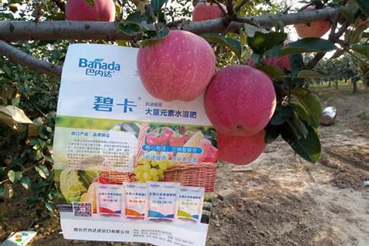 卷心菜高钾水溶肥在什么时候用？