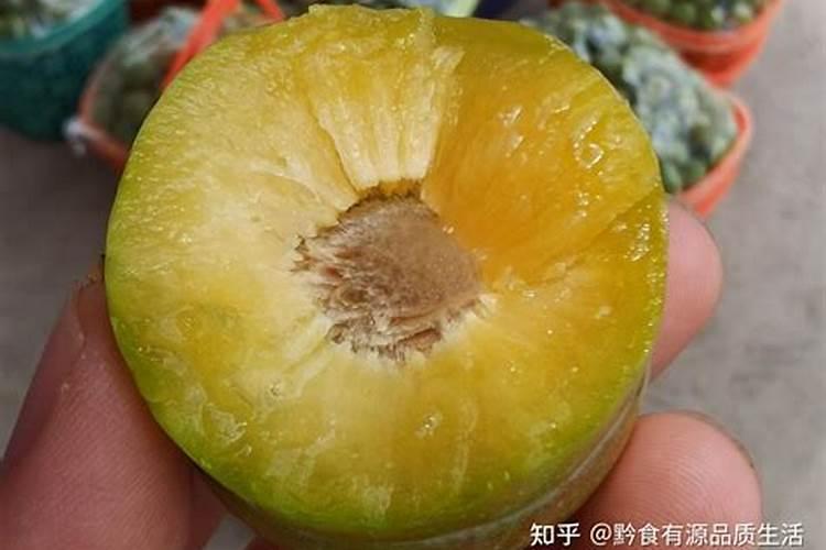 罗布水溶肥对蜂糖李的具体作用有哪些？