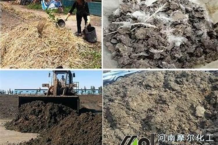水溶肥是有机肥吗还是无机泉州？