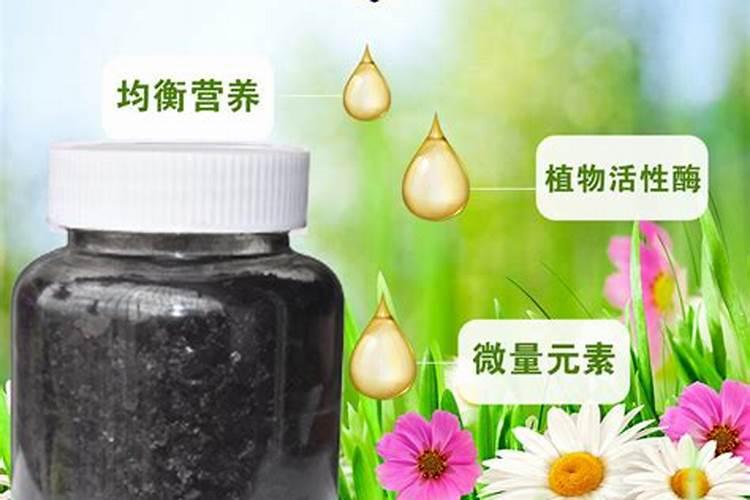 海藻肥料厂家直销有哪些？
