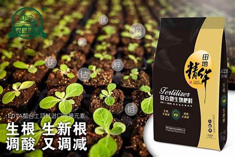 追肥全国生物肥料生产厂家扬中