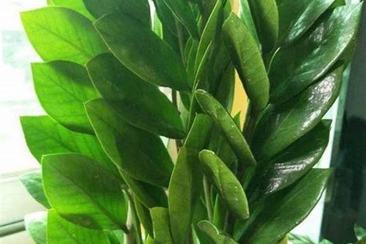 STANLEY/史丹利450g颗粒缓释肥</p><p>STANLEY/史丹利450g颗粒缓释肥富含植物生长所需营养元素，采用专业缓释技术，能在100天内持续释放养分，适用于各种植物。使用后，植物叶片更加肥厚、色泽更加鲜绿、枝干更加粗壮。在价格方面，京东售价为26.9元，天猫精选售价为29.8元，苏宁易购售价为23.8元。史丹利官方网站和APP的价格更加优惠，消费者。</p><p><h3 ext>二、养花缓释肥和复合肥哪个好